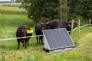 solar-power-station-smart-9.jpg